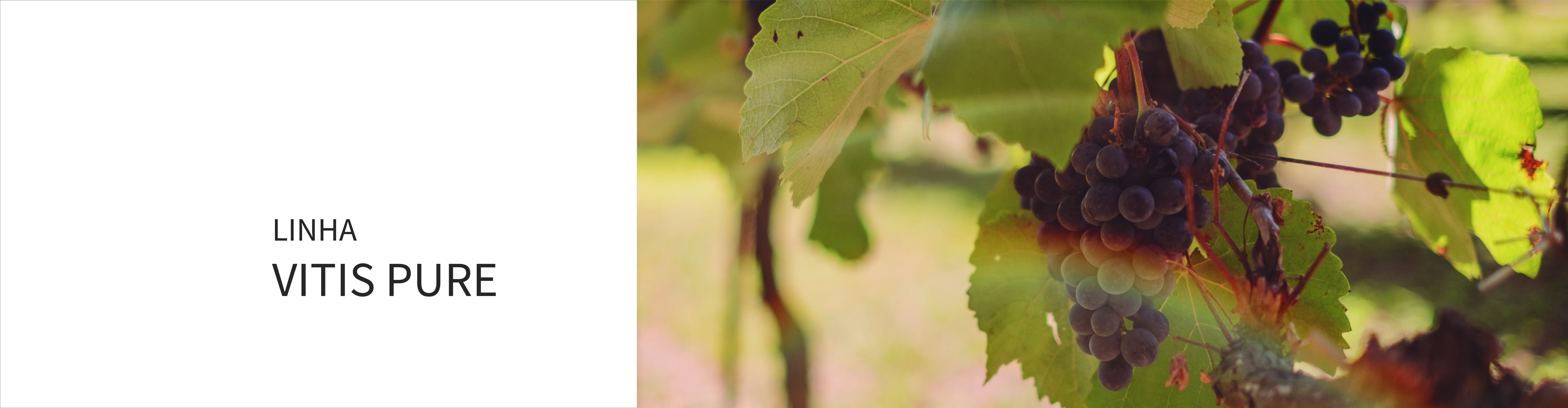 Vitis Pure